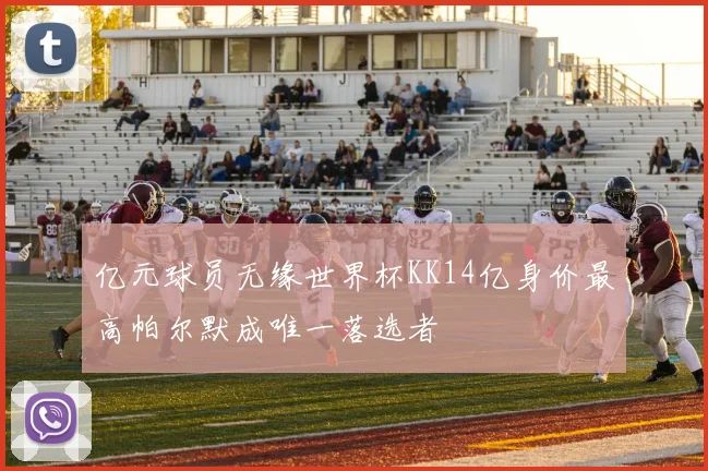 亿元球员无缘世界杯KK14亿身价最高帕尔默成唯一落选者