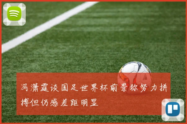冯潇霆谈国足世界杯前景称努力拼搏但仍感差距明显