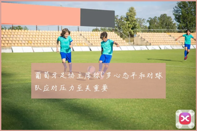 葡萄牙足协主席称C罗心态平和对球队应对压力至关重要